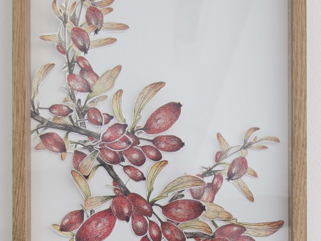 Arobal- Bartek Kociemba 30 x 42