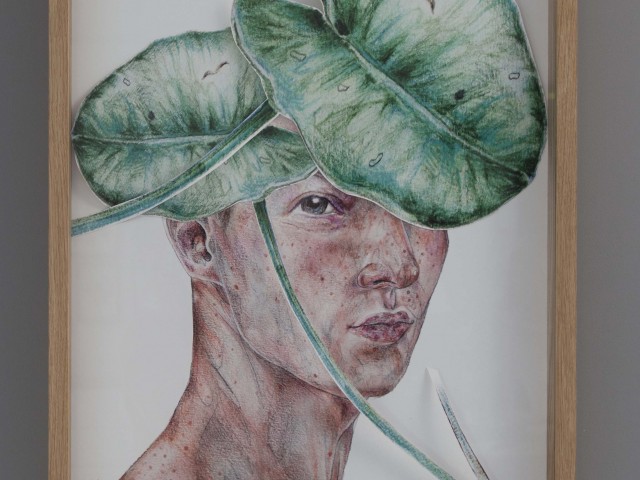 Arobal- Bartek Kociemba 50 x 70 